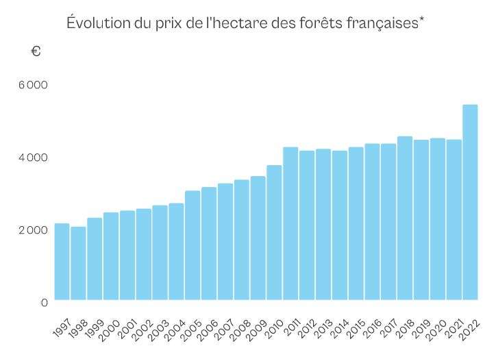 Pris de l'hectare de forêt en France en 2023