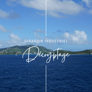 Decryptage de la loi Girardin Industriel