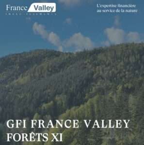 GFI France Valley XI